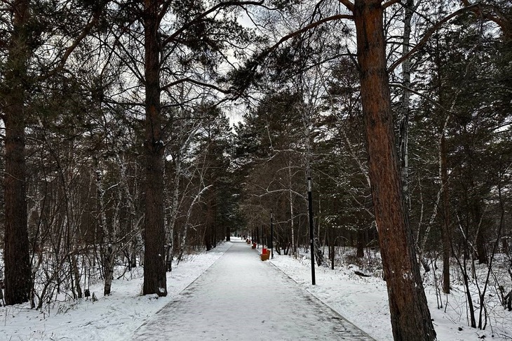 Парк. Фото пресс-службы правительства Иркутской области