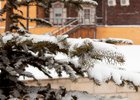 Зимний Иркутск. Фото IRK.ru