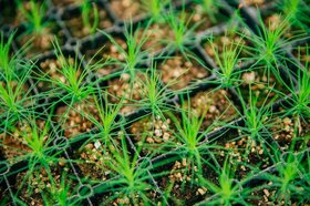 Фото пресс-службы правительства Иркутской области