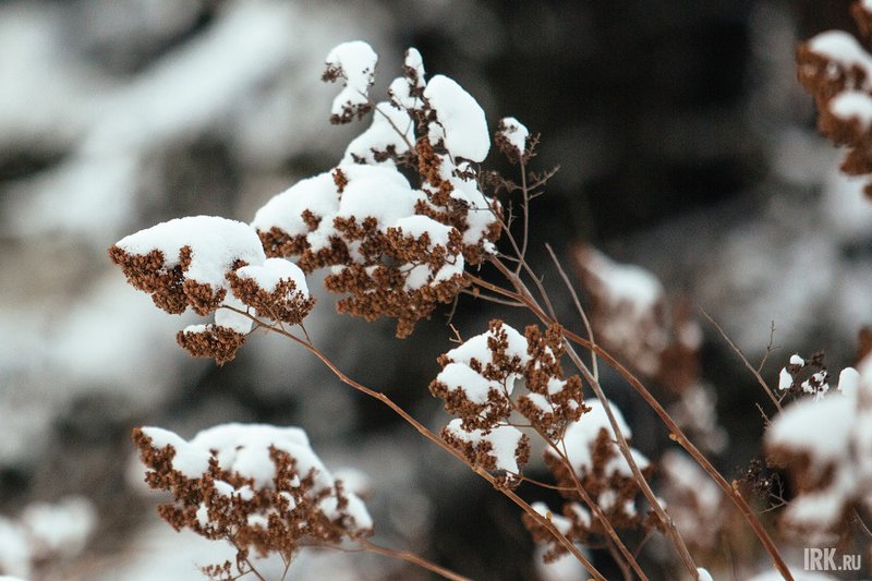 Средняя температура воздуха в иркутске