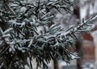 Фото из архива IRK.ru