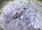 Фото пресс-службы СУ СК России по Иркутской области