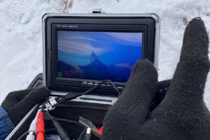 Фото пресс-службы СУ СК России по Иркутской области