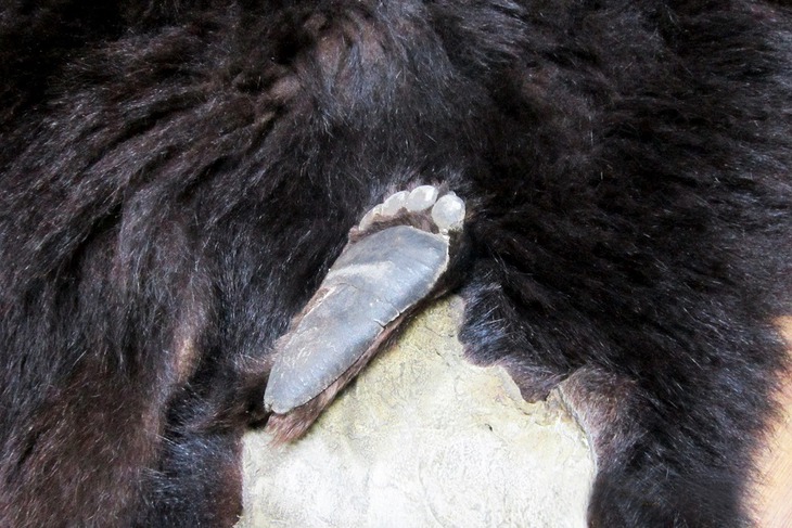 Фото пресс-службы Бурятской таможни