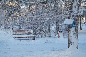 В сквере зимой. Фото Маргариты Романовой, IRK.ru