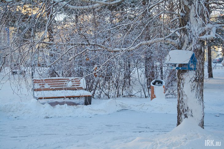 В сквере зимой. Фото Маргариты Романовой, IRK.ru