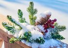 Фото Маргариты Романовой, IRK.ru