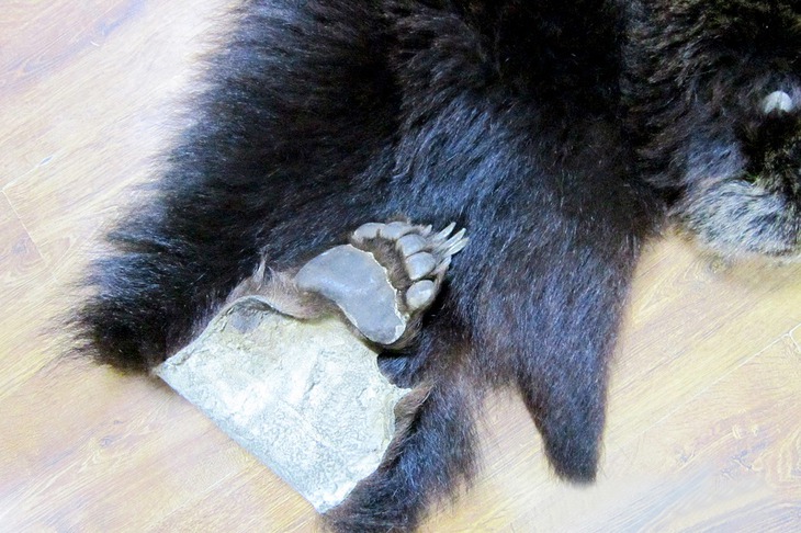 Фото пресс-службы Бурятской таможни