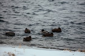 Фото Маргариты Романовой, IRK.ru