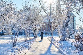 Фото Маргариты Романовой, IRK.ru