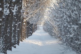 Зима в Иркутске. Фото Маргариты Романовой, IRK.ru