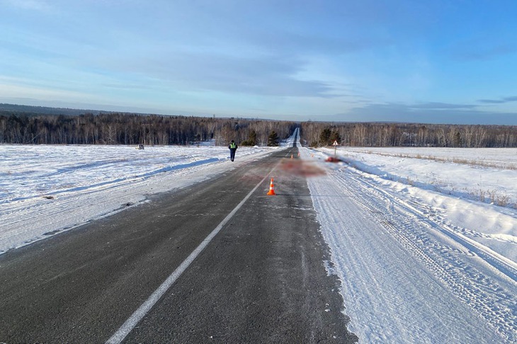 Фото Госавтоинспекции Братска