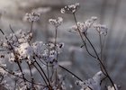 Фото из архива IRK.ru