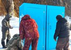 Установка кабинок. Фото Александра Тыхеева