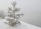 Мороз в Иркутске. Фото Маргариты Романовой, IRK.ru