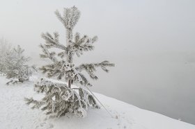 Мороз в Иркутске. Фото Маргариты Романовой, IRK.ru