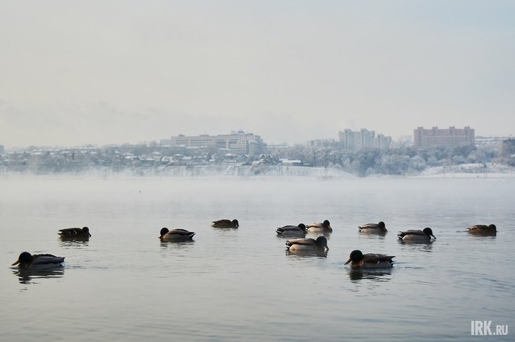Фото Маргариты Романовой, IRK.ru