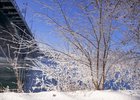 Фото из архива IRK.ru