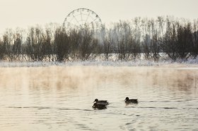 Фото Маргриты Романовой, IRK.ru