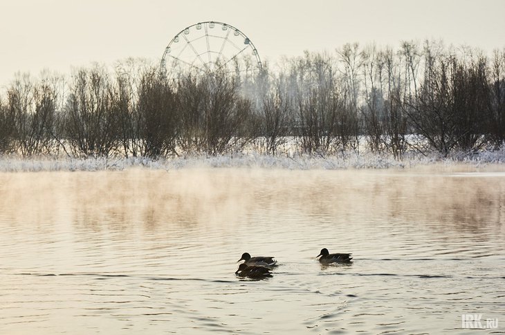 Фото Маргриты Романовой, IRK.ru