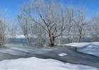 Фото пресс-службы администрации Иркутска