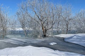 Фото пресс-службы администрации Иркутска