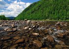 Тофалария. Фото «Заповедного Прибайкалья»