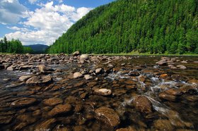 Тофалария. Фото «Заповедного Прибайкалья»