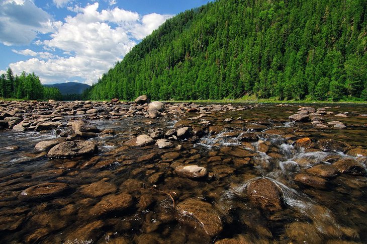 Тофалария. Фото «Заповедного Прибайкалья»