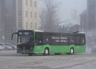 Фото пресс-службы администрации Иркутска