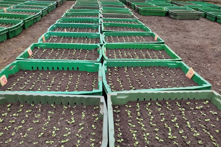 Фото пресс-службы администрации Иркутска