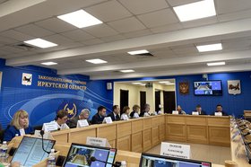Заседание комитета. Фото Элины Халтановой, IRK.ru