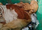 Фото пресс-службы «РТ-НЭО Иркутск»