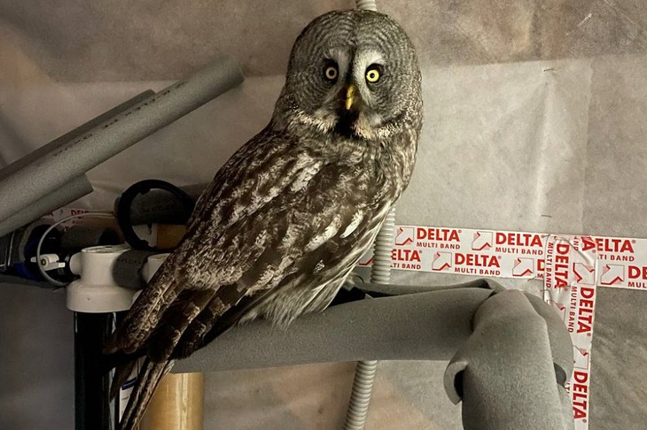 Фото предоставлено Аленой Дементьевой