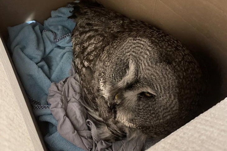 Фото предоставлено Аленой Дементьевой