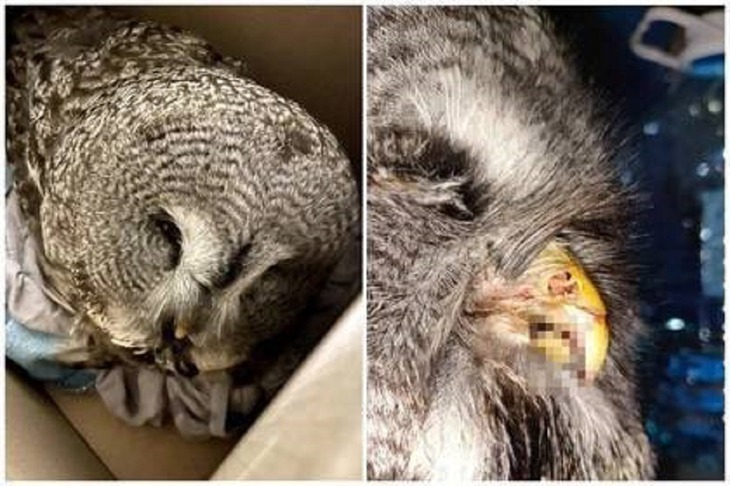 Фото предоставлено Аленой Дементьевой