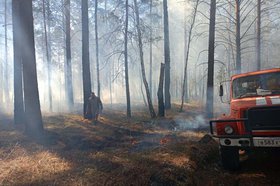 Тушение лесных пожаров. Фото пресс-службы правительства Иркутской области