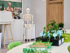 В кабинете биологии нам представили Константина Валерьевича - учебный скелет. Имя ему дали сами ученики.