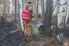 12 пожаров потушили за сутки в разных лесничествах Иркутской области
