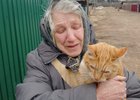 Фото из телеграм-канала Александра Дубровина