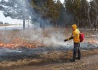 Тушение пожара в лесной местности. Фото пресс-службы правительства Иркутской области