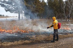 Тушение пожара в лесной местности. Фото пресс-службы правительства Иркутской области