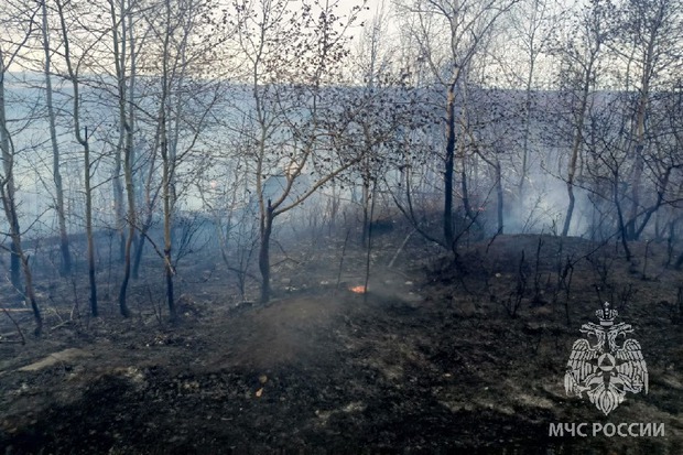 Фото пресс-службы ГУ МЧС России по Иркутской области