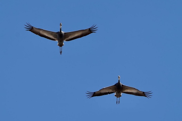 Фото Рене Хамитова
