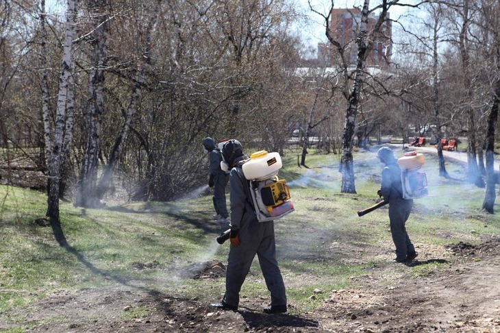 Фото пресс-службы администрации Иркутска