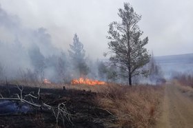 Лесной пожар. Фото пресс-службы правительства Иркутской области