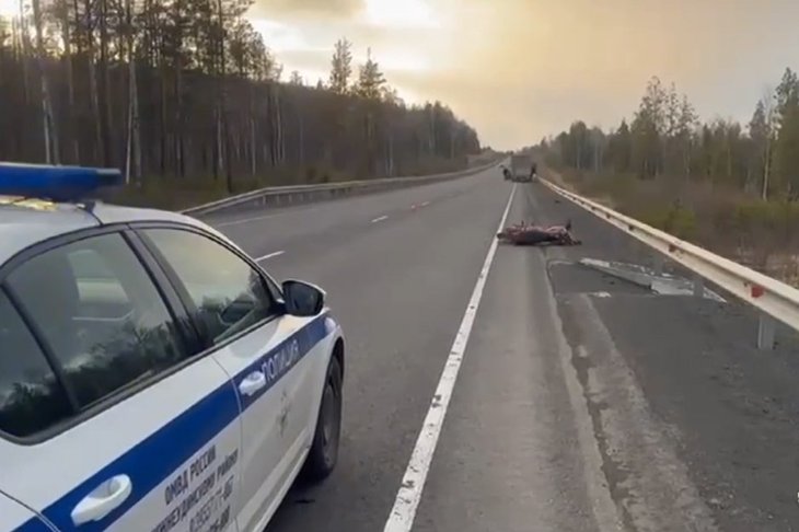 Место аварии в Нижнеудинском районе. Скриншот видео Госавтоинспекции Иркутской области