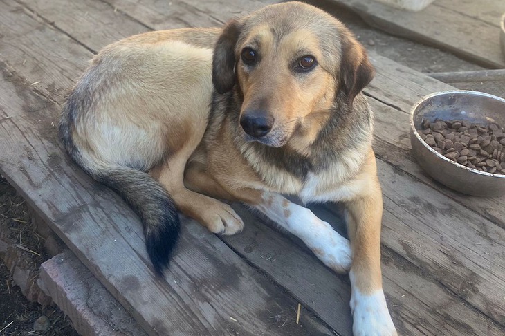 Фото волонтеров организации