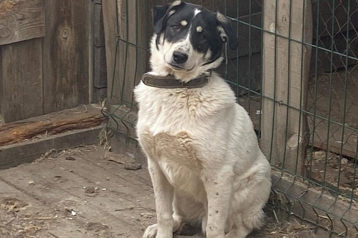 Фото волонтеров организации