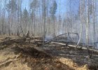 Тушение лесного пожара. Фото пресс-службы правительства региона